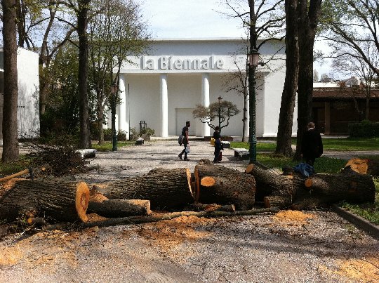 Giardini della Biennale, March 2012 © Arno Ritter | 1/3